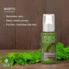 PHYTORX CLARIFYING & SOOTHING TONER - Image 2